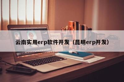 云南實用ERP軟件開發 聚焦昆明本地化需求，推動企業數字化轉型