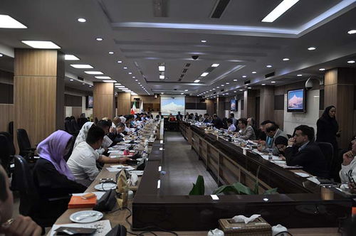 攜手中東，共創未來 云南商務代表團赴阿聯酋、沙特、伊朗開拓經貿合作新篇章